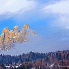 LE PALE DI SAN MARTINO - Fiera di Primiero dicembre 2008 