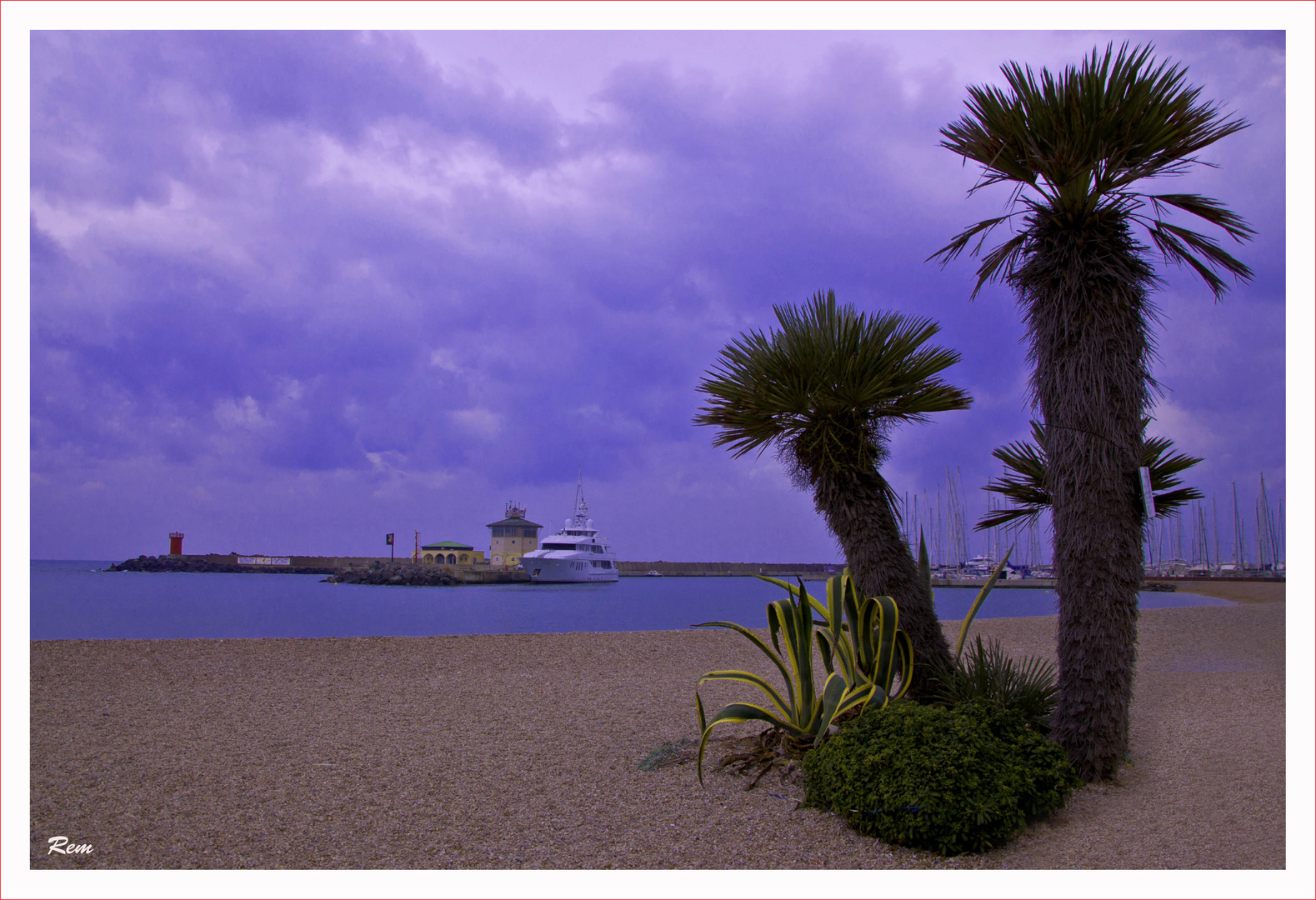 Le palme in riva al mare