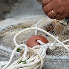 Le panier à poisson