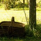 Le Panier dans l'herbe