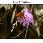 Le Papillon