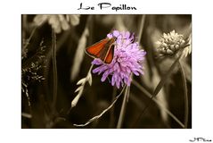 Le Papillon