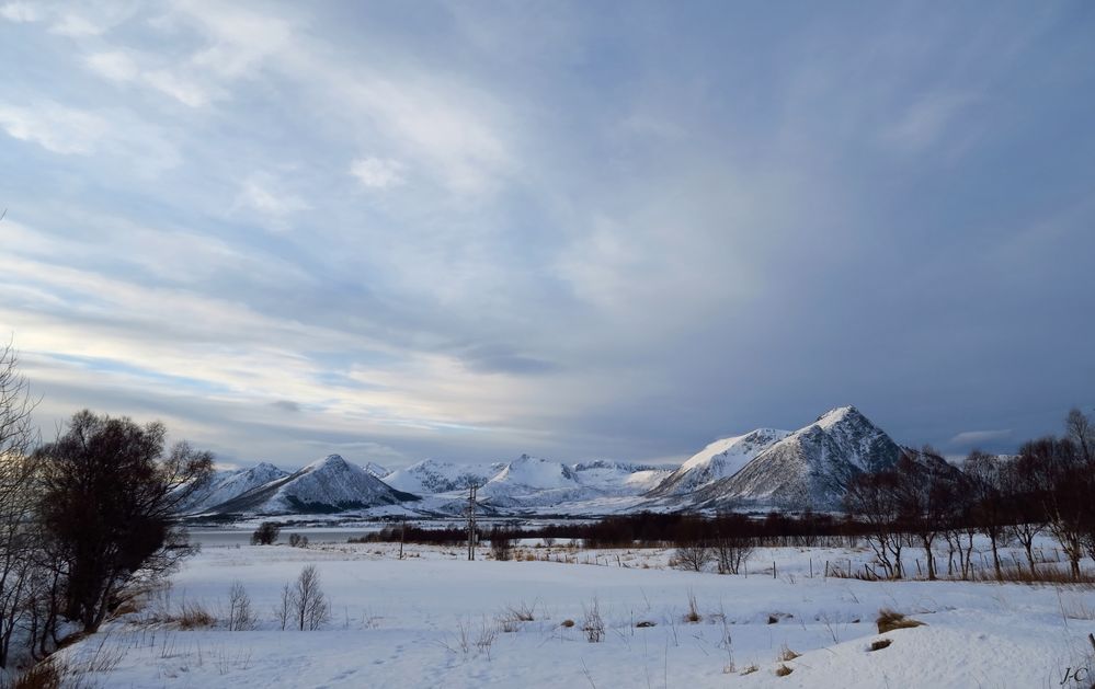 " Le paradis blanc "