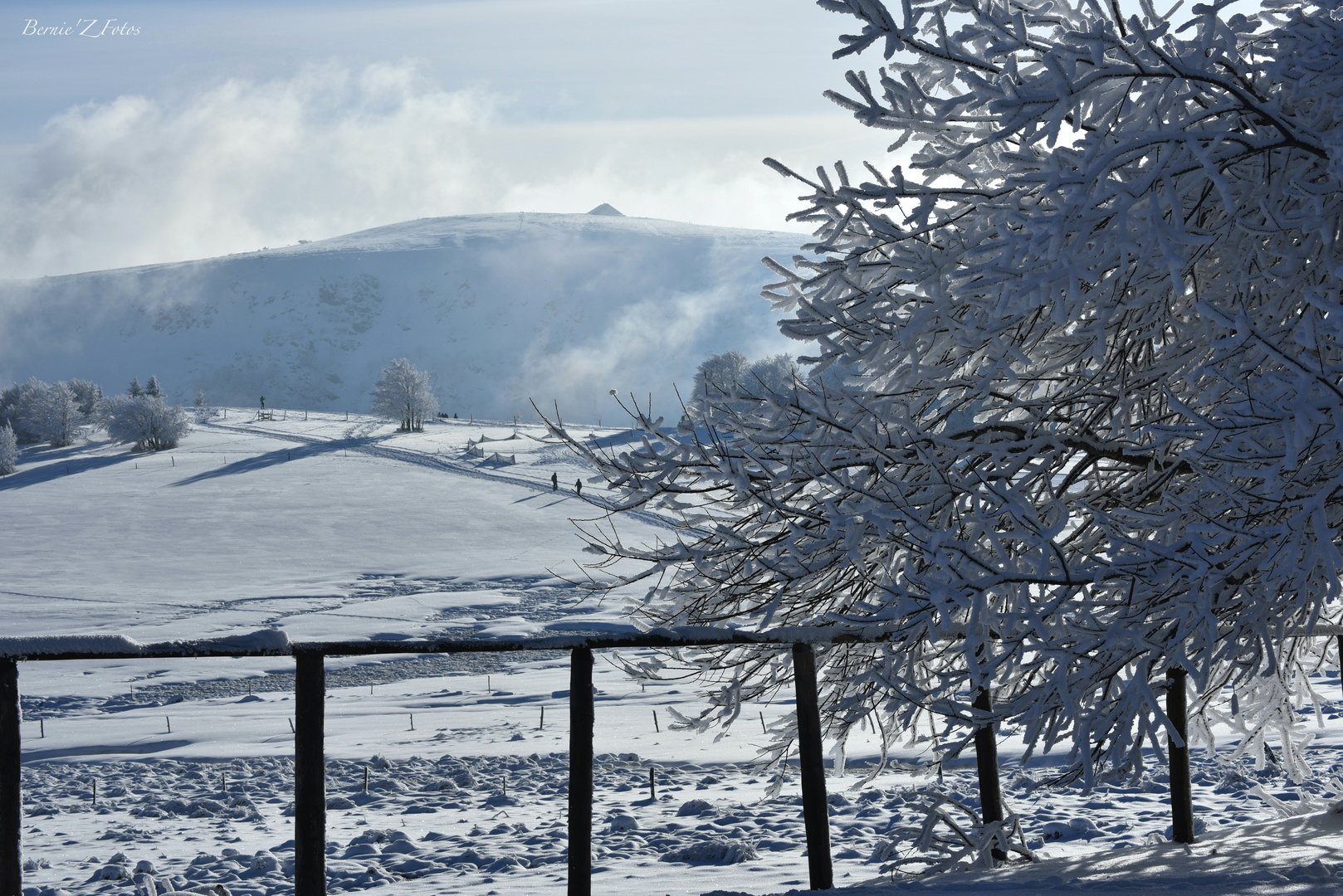 Le paradis blanc