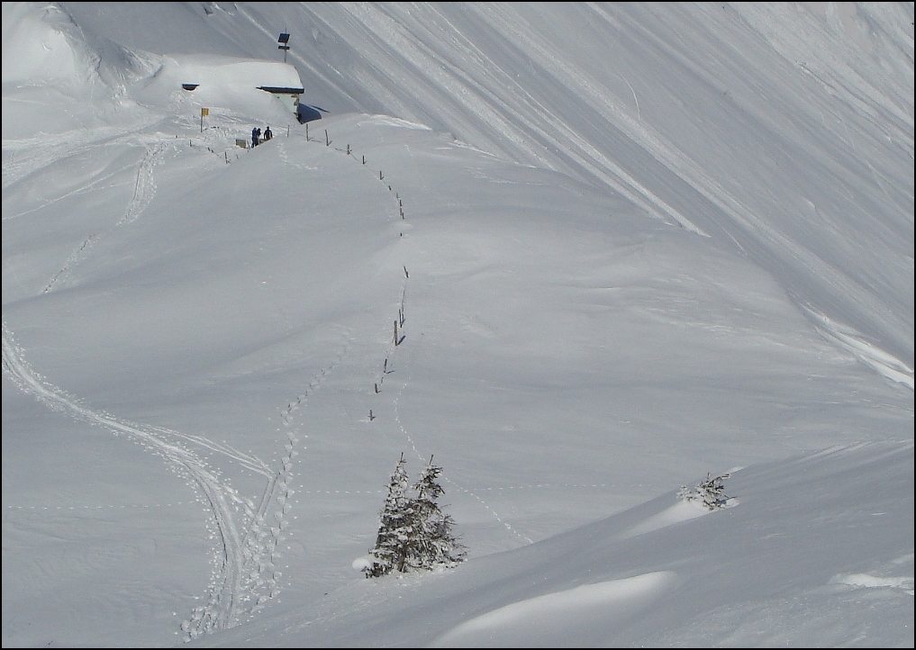 Le paradis blanc !