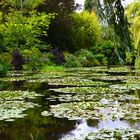 Le paradis de Claude Monet avec ses nénuphars