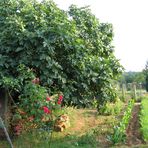 le paradis de mon beau-père !!!!