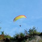 * le parapente jaune *