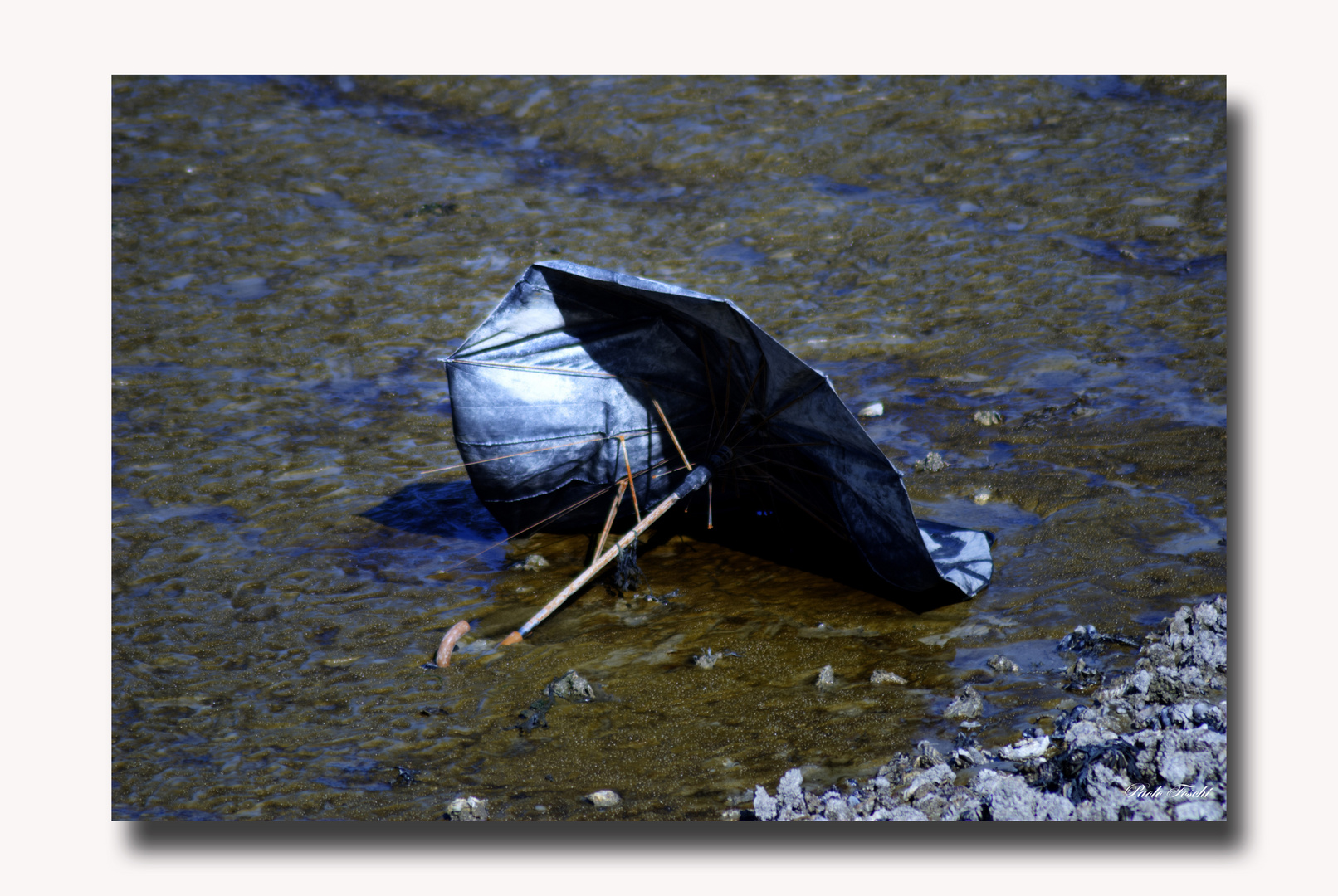 .....Le parapluie.....