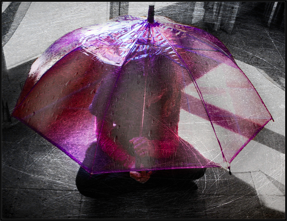 Le parapluie mauve .