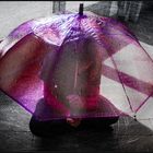 Le parapluie mauve .