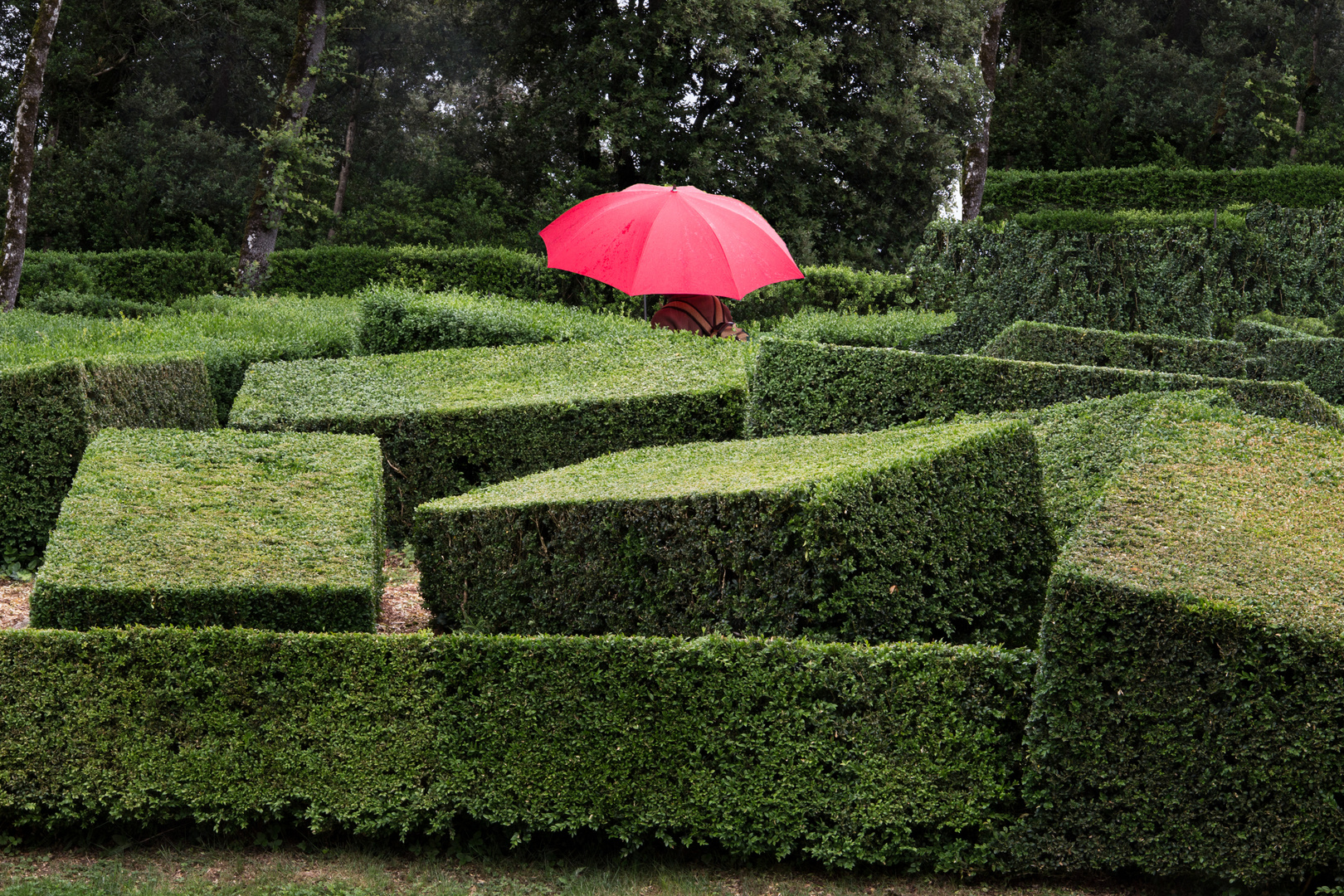 le parapluie rouge !