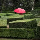 le parapluie rouge !