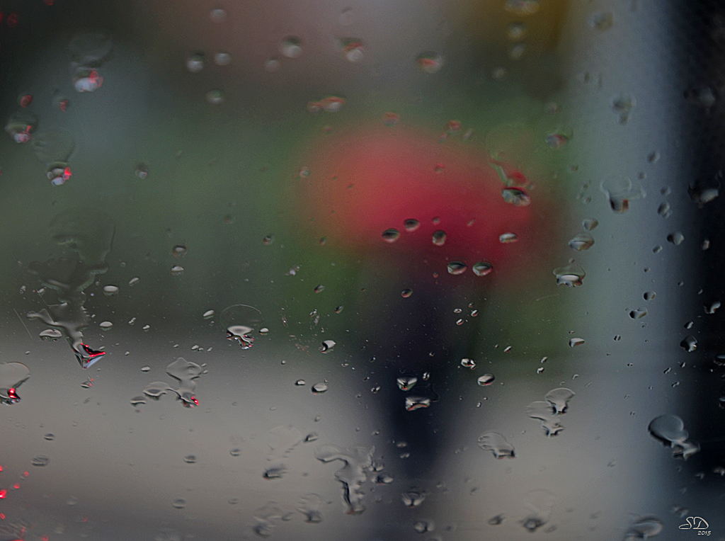 Le parapluie rouge .