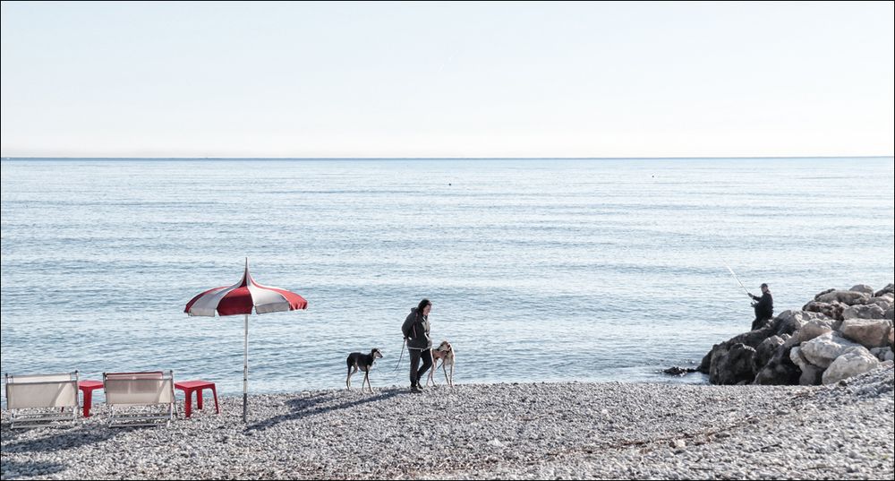 Le Parasol