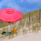 Le parasol rouge et son gardien