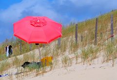 Le parasol rouge et son gardien