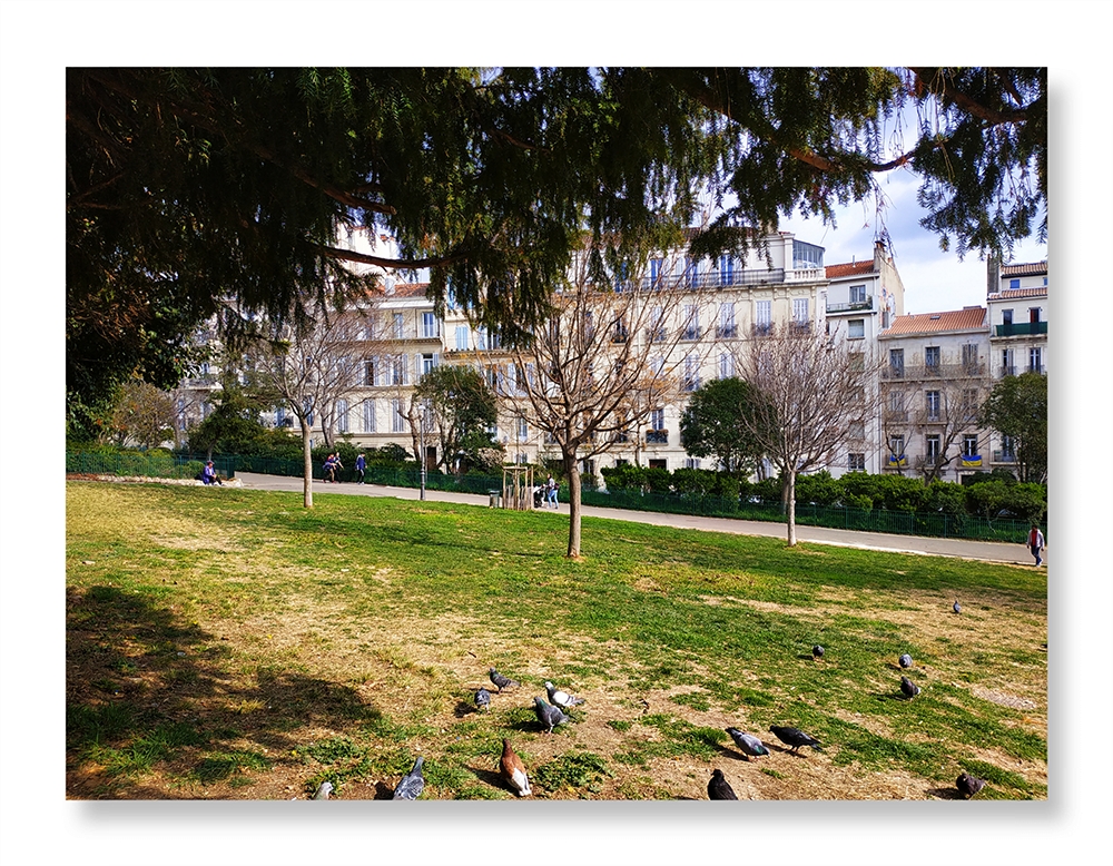 Le parc (2)