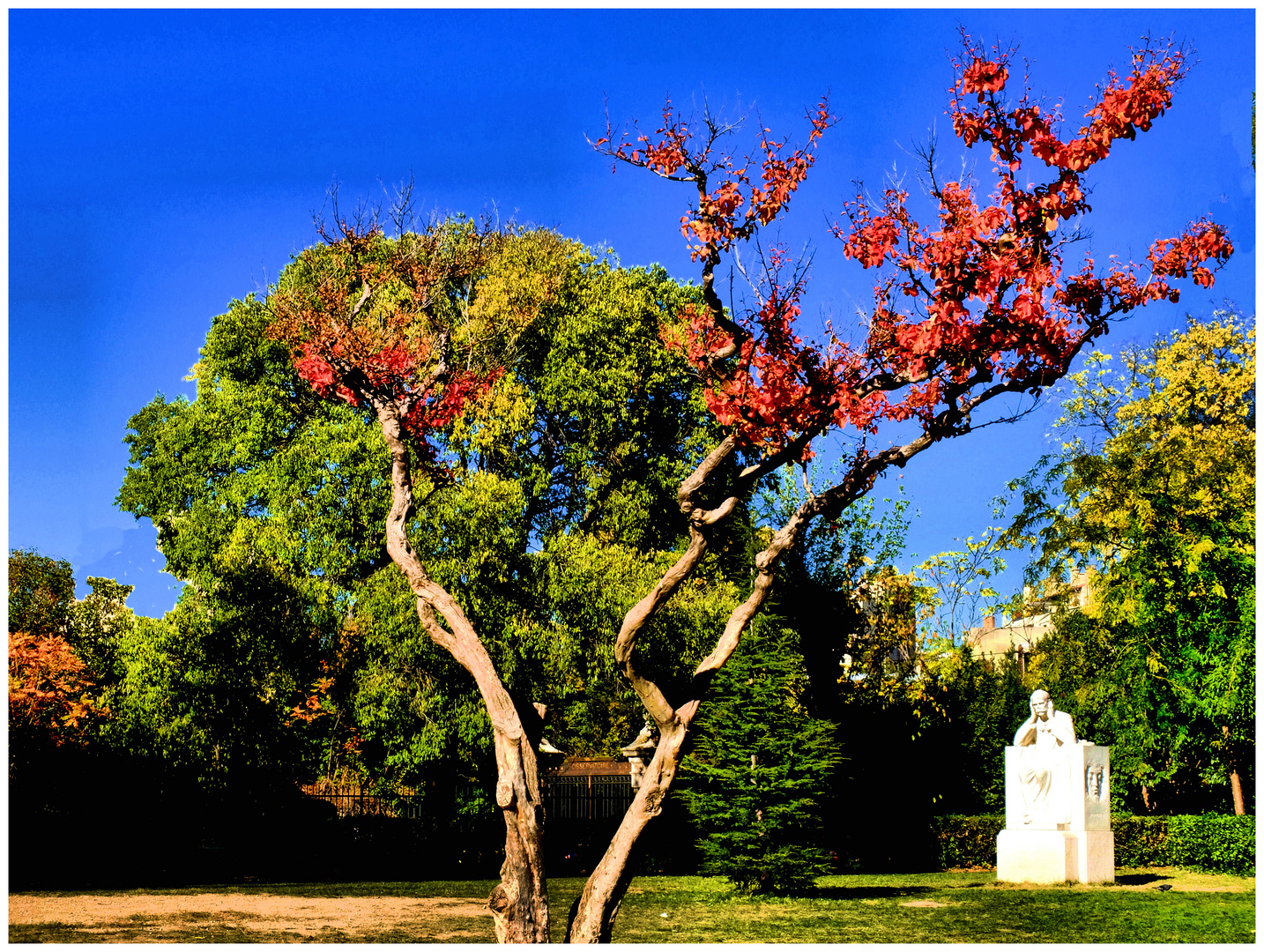 Le parc