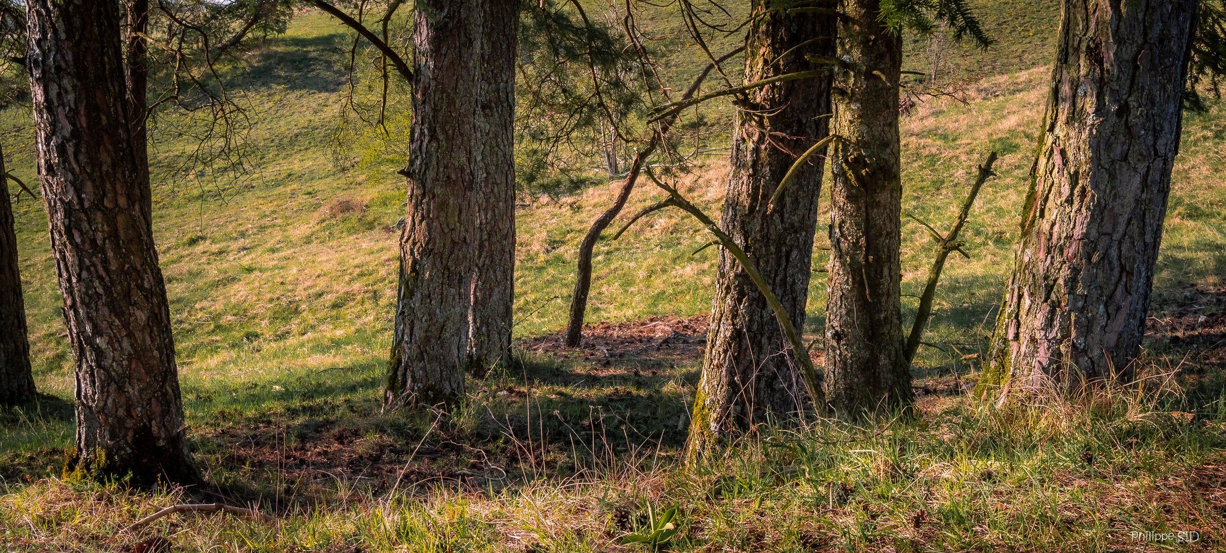 Le parc aux chevaux-Epizon