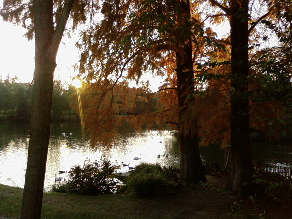 le parc de bourran a mérignac