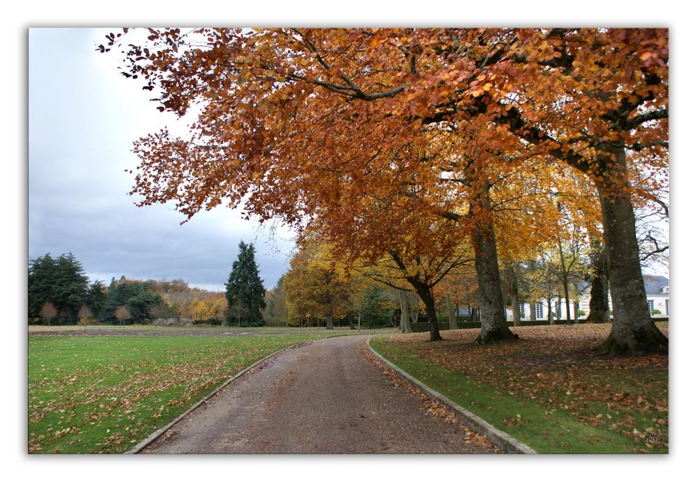 LE PARC DE CHEVERNY en habit d'automne