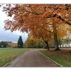 LE PARC DE CHEVERNY en habit d'automne