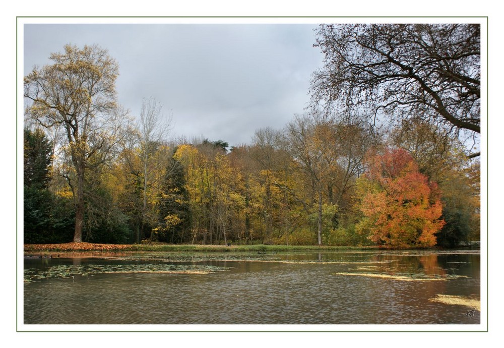 LE PARC DE CHEVERNY