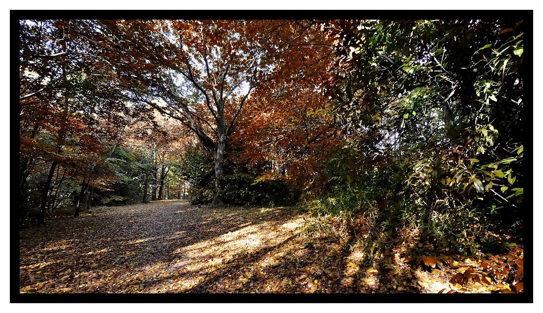 le parc de Kérihuer