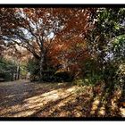 le parc de Kérihuer