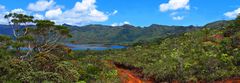 Le parc de la Rivière Bleue - Nouvelle-Calédonie