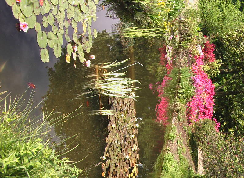 Le Parc de la Tête d'Or