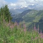 le parc de la vanoise