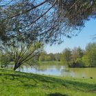 Le parc de loisirs de Gauge à Condom