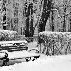 Le parc d'hiver