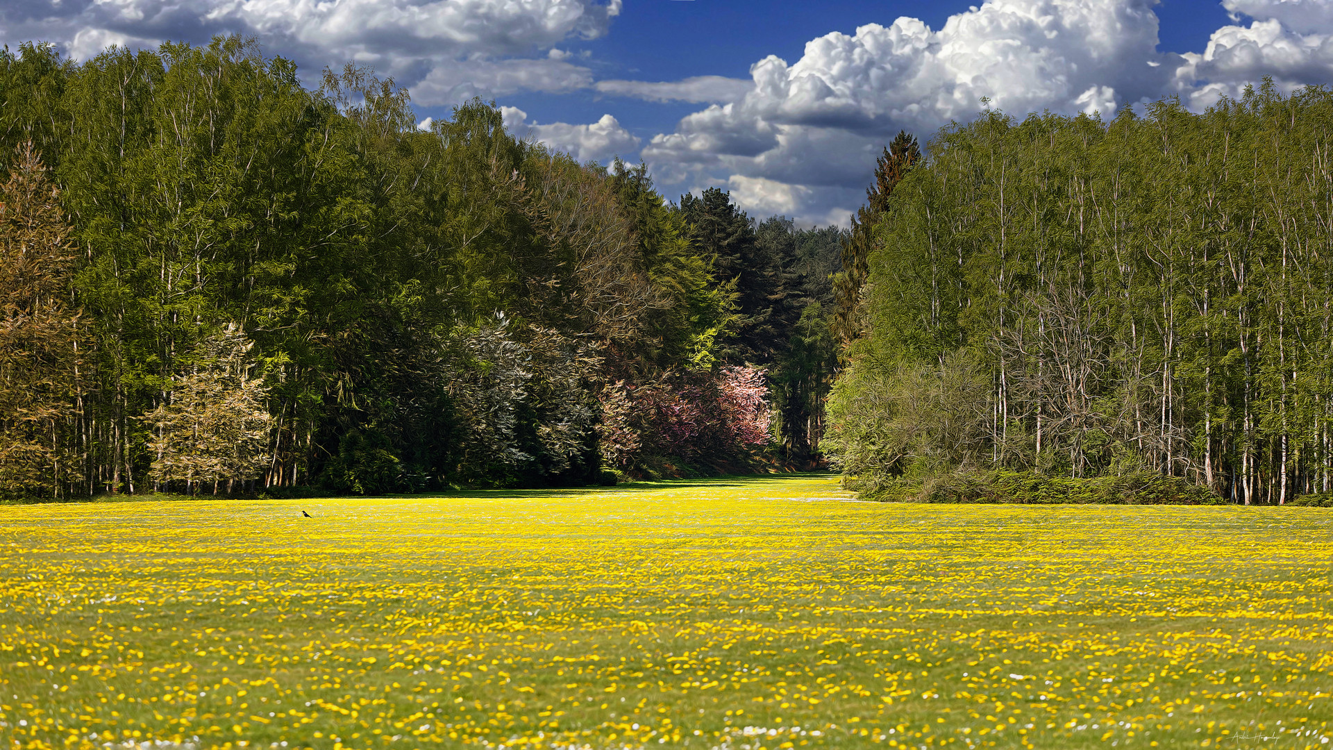 Le parc du château