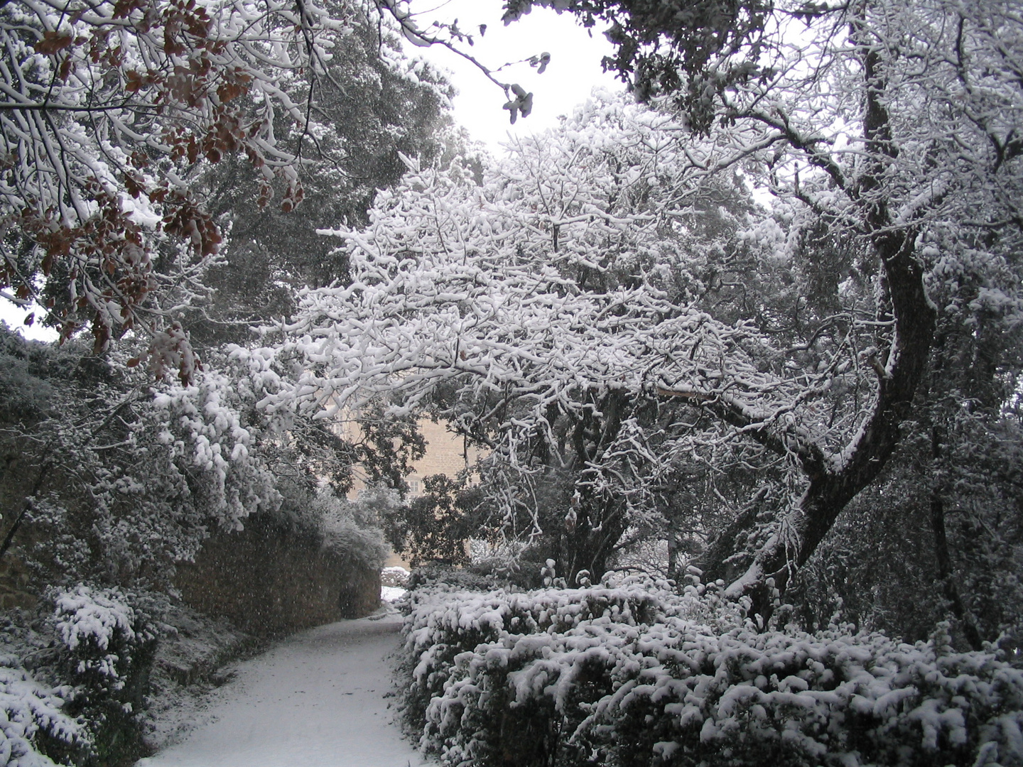 Le parc du château de Suze