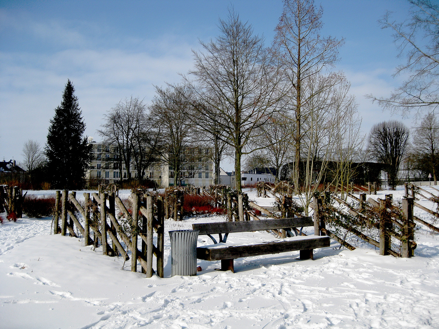 le parc en hiver 