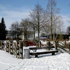le parc en hiver 