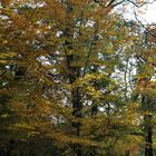 Le parc en parure d'automne