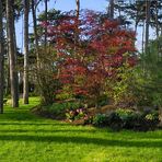 Le parc floral de Vincennes