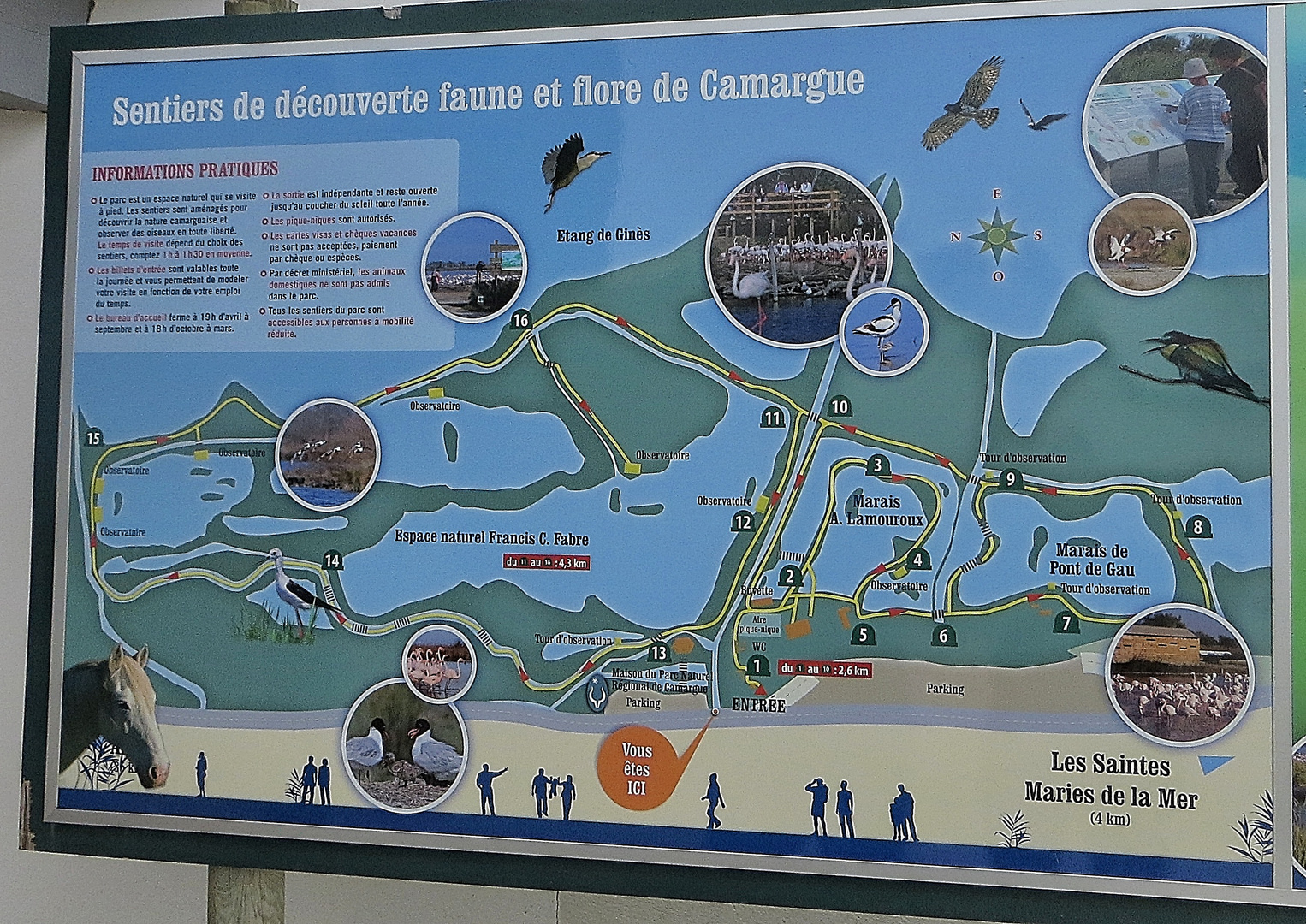 le parc ornithologique de Pont de Gau !