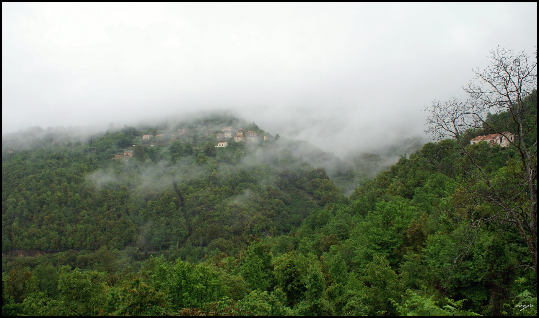 le parfum du Cap Corse