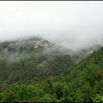 le parfum du Cap Corse