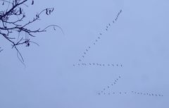 le passage ... 2