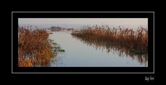 le passage inondé