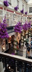 Le Passage Pommeraye en tenue de fête 