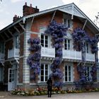 Le pavillon aux glycines 