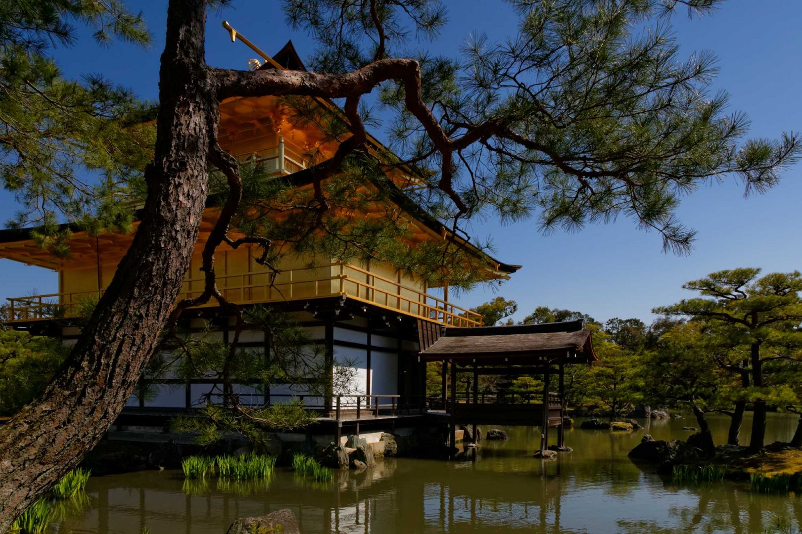 Le Pavillon d'Or, près de Kyoto