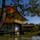 Le Pavillon d'Or, près de Kyoto